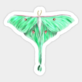 Green Lunar Moth Digital Art Sticker